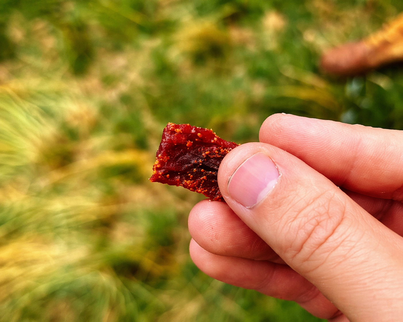Hand holding spiced snack outdoors